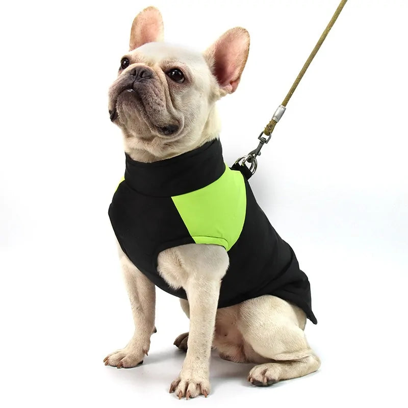 Frosty Paws Co - Winter Pets Clothing