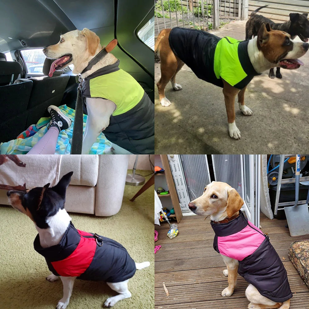 Frosty Paws Co - Winter Pets Clothing